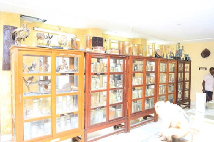 AMAL College, Visakhapatnam campus photo 5