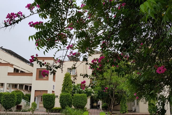 School of Design and Visual Arts, Apeejay Stya University, Sohna campus photo 3