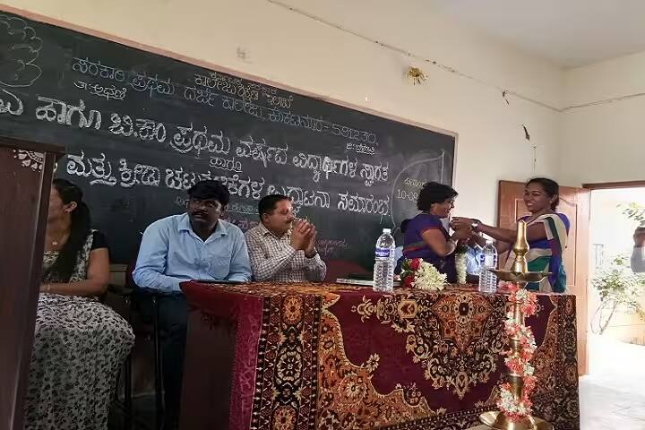 Government First Grade College, Kokatanur campus photo 4