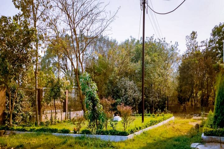 School of Studies in Computer Science and IT, Pt Ravishankar Shukla University, Raipur campus photo 3