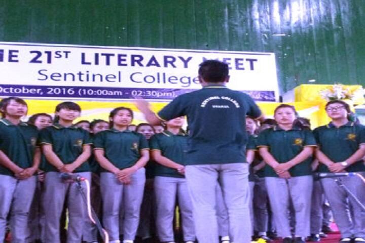 Sentinel College, Ukhrul campus photo 2