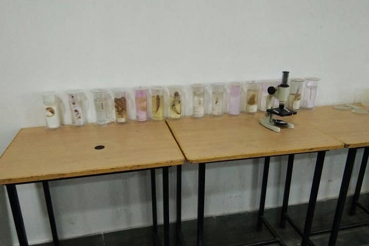 Punit Teacher Training College, Bhilwara campus photo 2