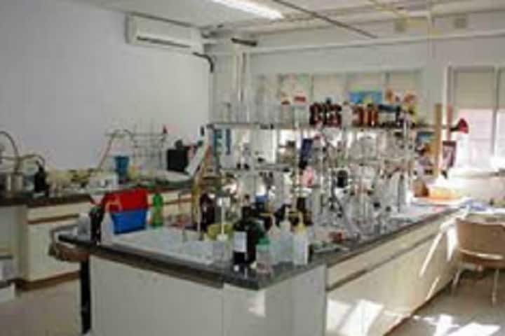 Shri Ramprasad Bohra College, Buhana campus photo 2