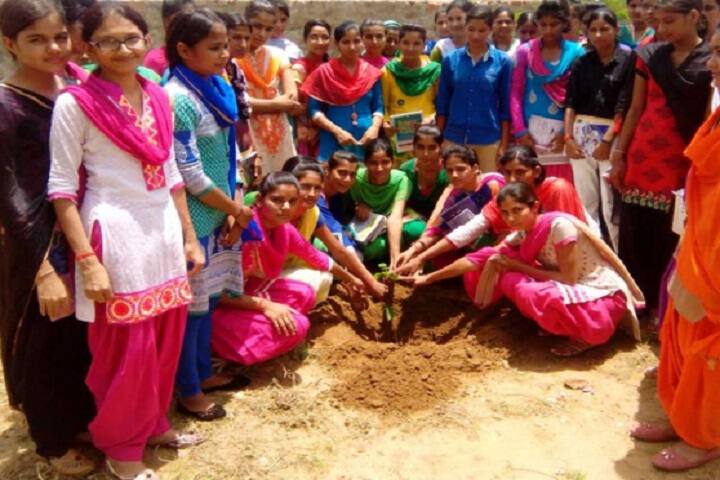 Shri Balaji College, Pacheri campus photo 5