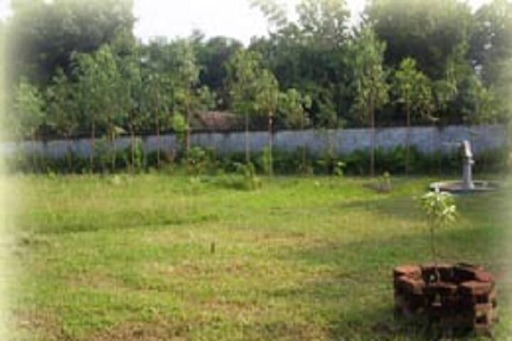 Harishchandra Mahavidyalaya, Faizabad campus photo 6