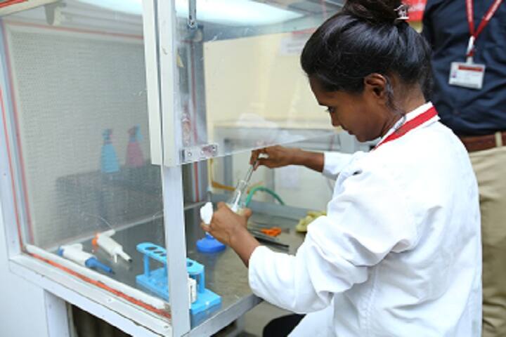 Shri Jain Diwakar College, Indore campus photo 3