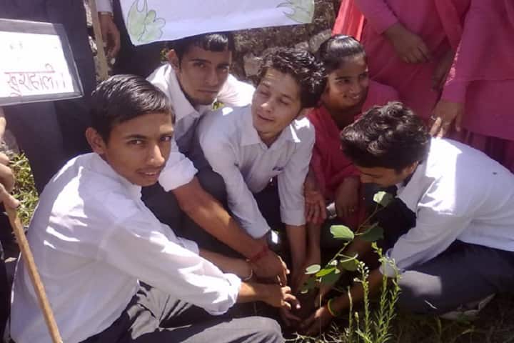 Government Millennium Polytechnic College, Chamba campus photo 5
