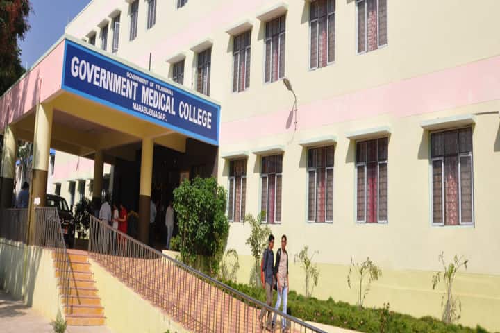 Government Medical College, Mahabubnagar campus photo 5