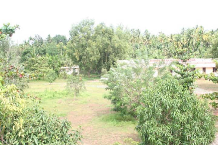 Hindi Prachara Kendra, Thrissur campus photo 3