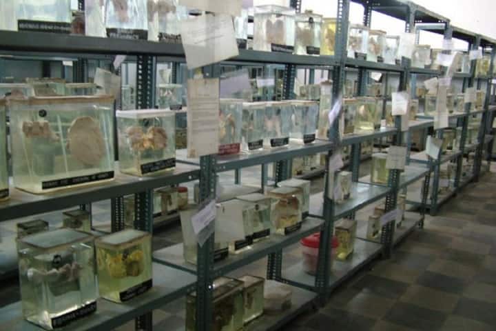 Deccan College of Medical Sciences, Hyderabad campus photo 4