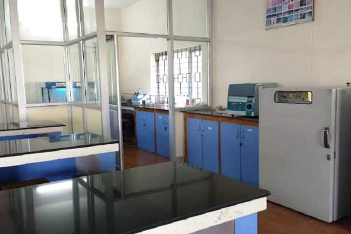Yuvaraja's College, Mysore campus photo 5