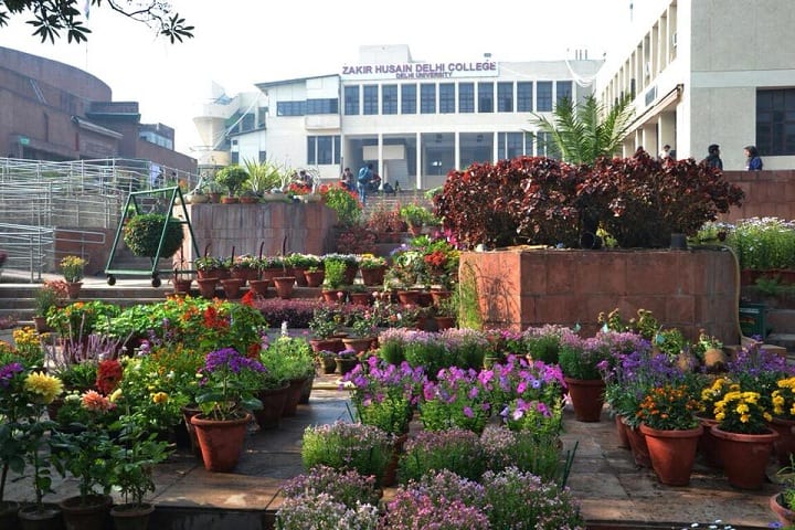Zakir Husain Delhi College, Delhi campus photo 6