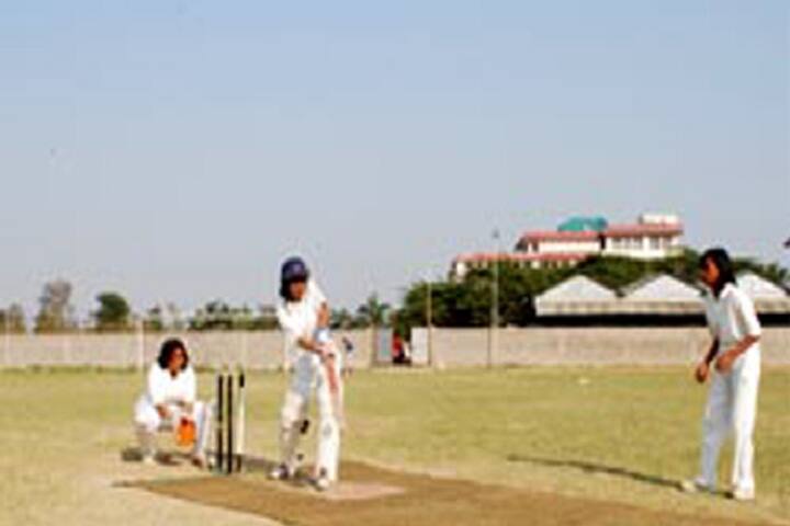 Vikash Degree College, Bargarh campus photo 4