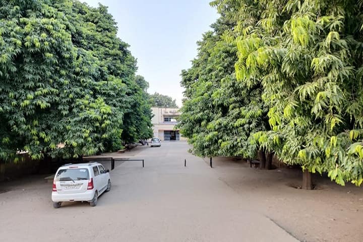 SNKP Government College, Neem Ka Thana campus photo 2