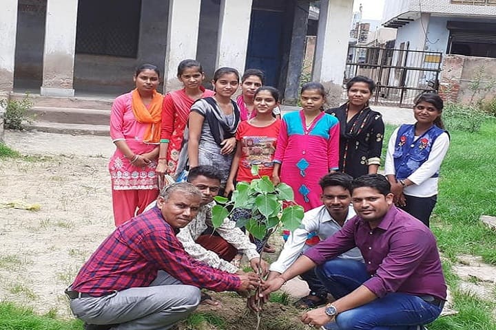Government College, Kaman campus photo 3