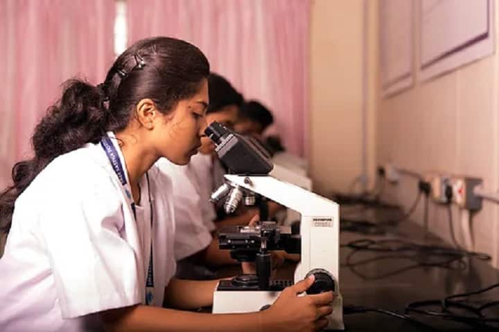 Sree Sastha Arts and Science College, Chennai campus photo 5