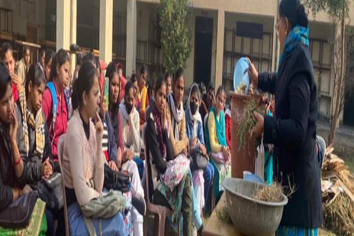 Government Girls College, Sadul Shahar campus photo 2