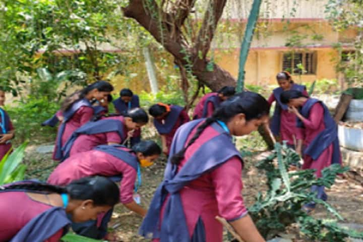Venkataratna College of Education, Kurnool campus photo 2
