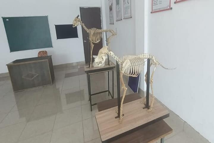 Balaji College of Veterinary Science and Research Center, Bhiwani campus photo 4