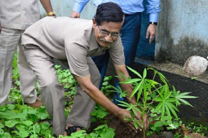 Vidya Niketan Degree College of Commerce, Mumbai campus photo 2