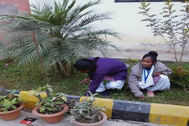 Government Degree College, Kuchlai, Sitapur campus photo 5