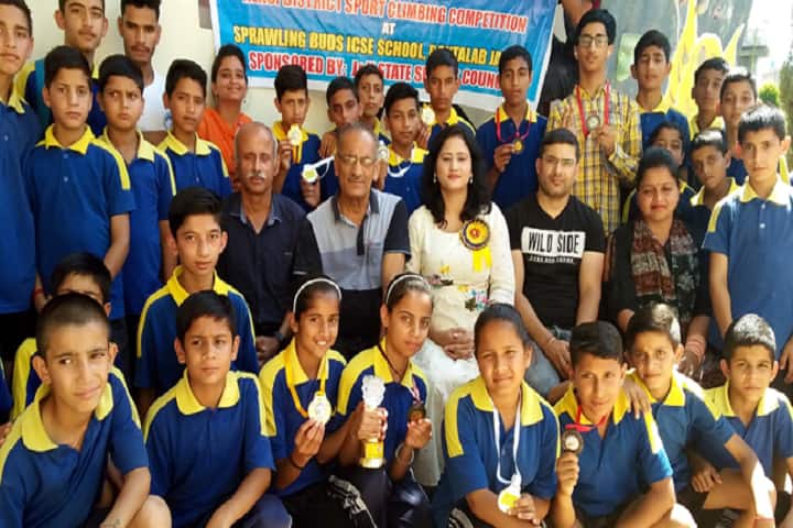 Keshav Vidyapeeth T T College, Sumerpur campus photo 2