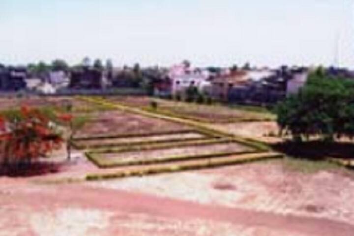 Yashwantrao Chavan Mahavidyalaya, Solapur campus photo 6