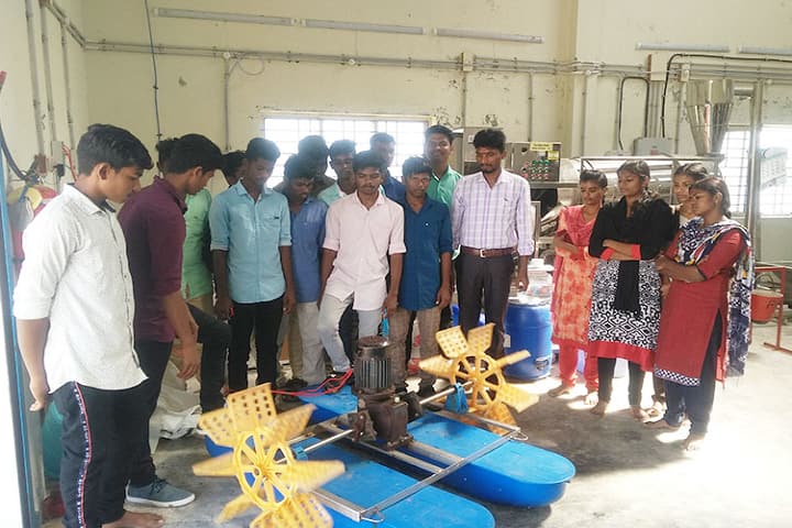 Paraprofessional institute of Aquaculture Technology, Muttukadu campus photo 2