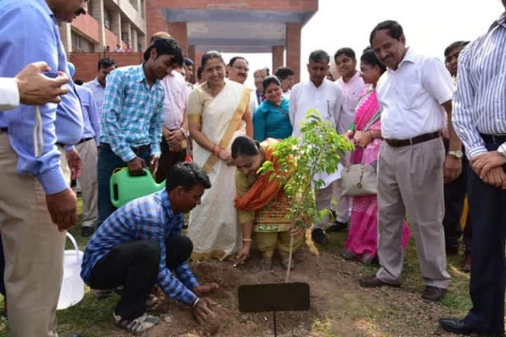 Government Rehabilitation Institute for Intellectual Disabilities, Chandigarh campus photo 4