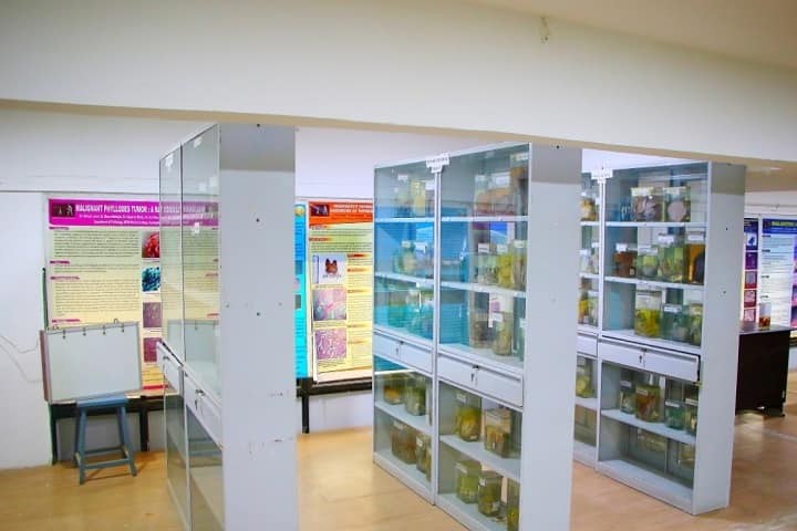 MGM Medical College, Aurangabad campus photo 3