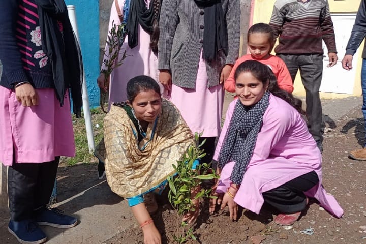 Government Degree College, Doongi, Rajouri campus photo 5