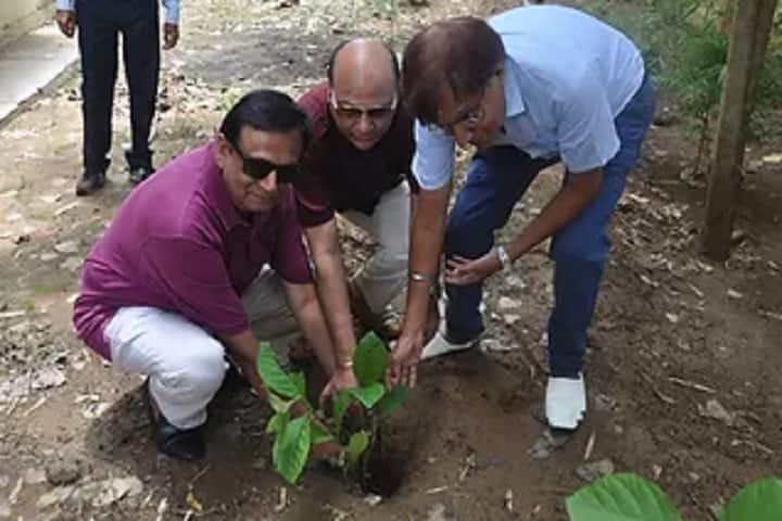 JS Hindu PG College, Amroha campus photo 5