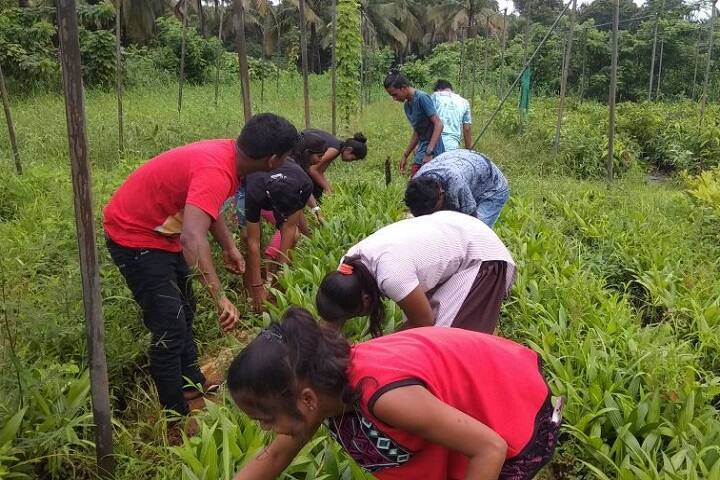 Ramanata Crisna Pai Raikar School of Agriculture, Ponda campus photo 4
