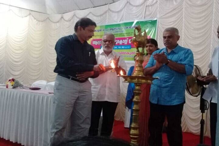 Mahatma Gandhi University College of Arts and Commerce, Pathanamthitta campus photo 3