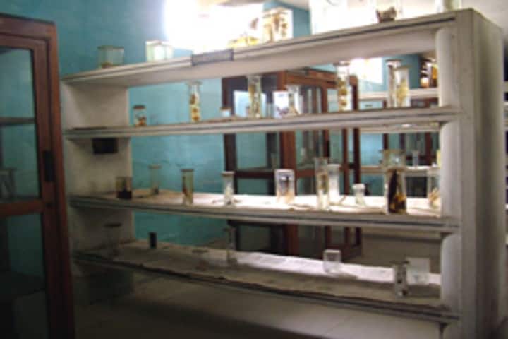 Government Model Science College, Gwalior campus photo 4