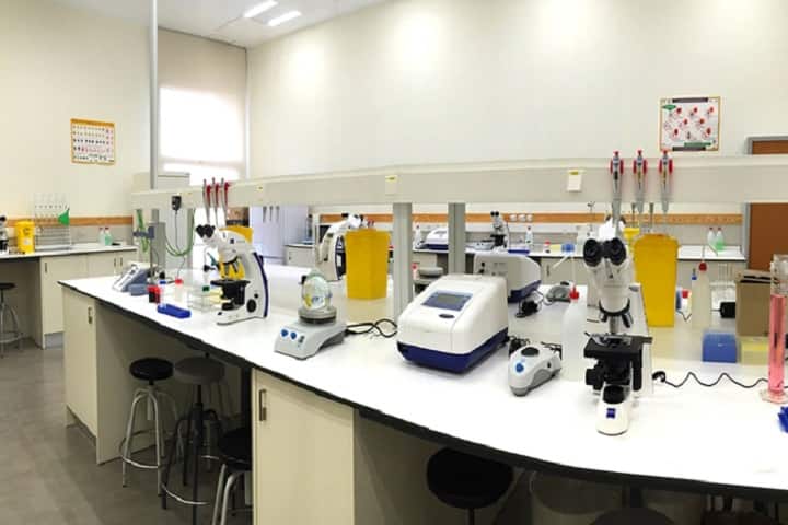 Montessori Mahila Kalasala, Vijayawada campus photo 5