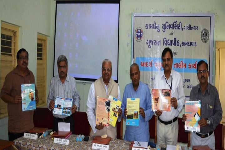 Polytechnic in Animal Husbandry, Himmatnagar campus photo 5
