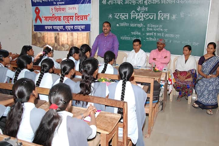 Shri Dnyaneshwar Maskuji Burungale Science and Arts College, Shegaon campus photo 3