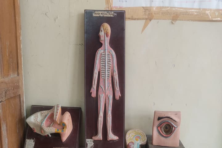 Milind College of Arts, Aurangabad campus photo 5