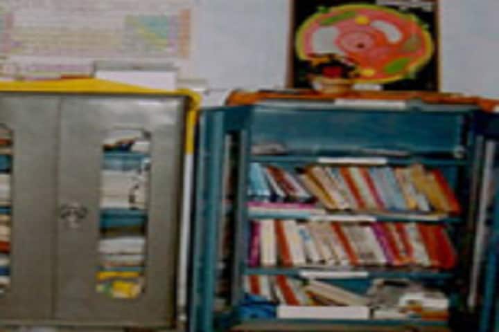 Pandit Ambika Pratap Narayan Higher Education Degree College, Dumri campus photo 3