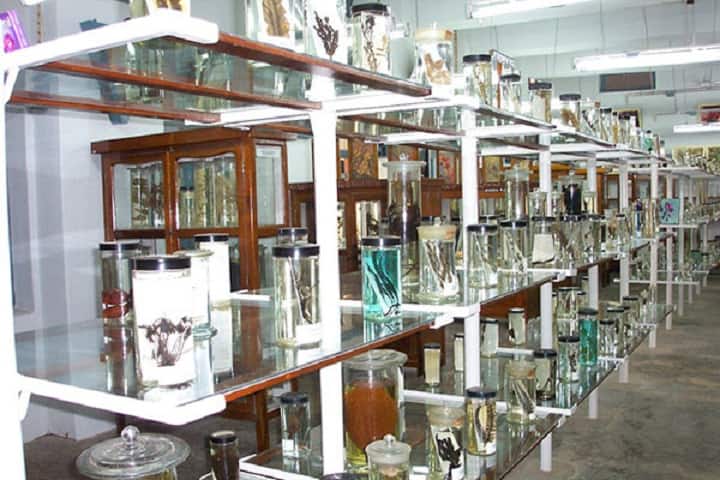 MKD Girls Degree College, Nehtaur campus photo 6