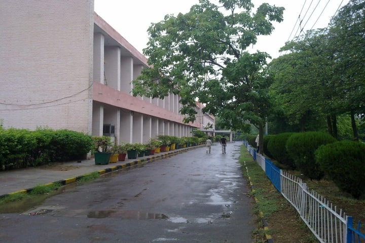 PGIMS Rohtak campus photo 3