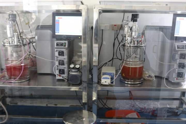 Pasteur Institute of India, Nilgiris campus photo 3