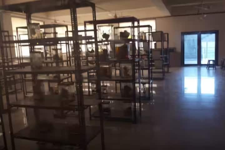 Shri MP Shah Government Medical College, Jamnagar campus photo 5