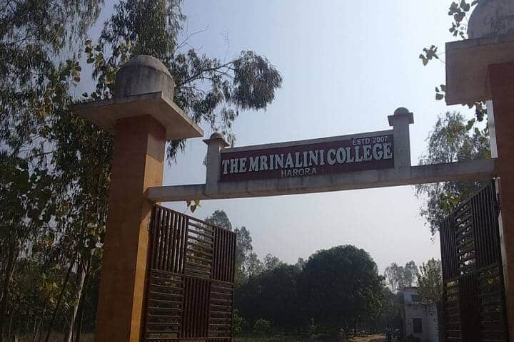 The Mrinalini College, Saharanpur campus photo 2