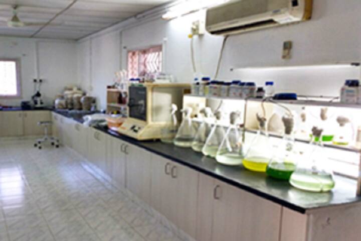 Shri AMM Murugappa Chettiar Research Centre, Chennai campus photo 3