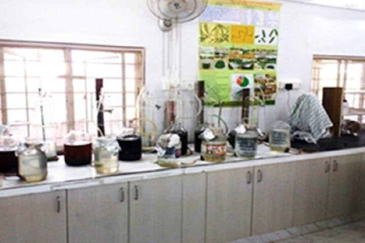 Shri AMM Murugappa Chettiar Research Centre, Chennai campus photo 4