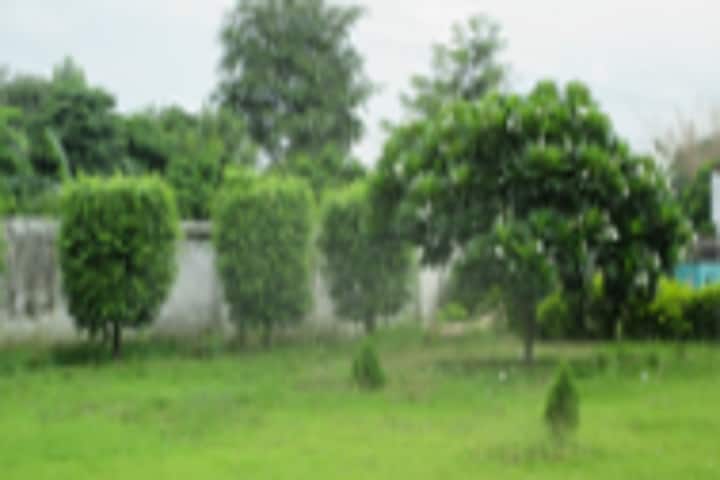 Ram Aadhar Gramin Mahavidyalaya, Ambedkar Nagar campus photo 3