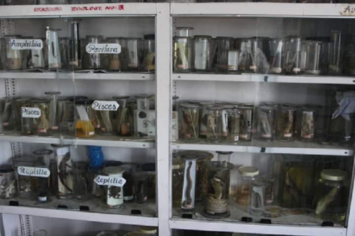 DRNSCVS Degree College, Chilakaluripet campus photo 4