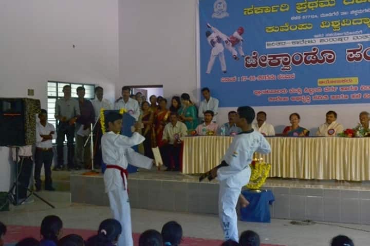 Government First Grade College, Kalasa campus photo 3
